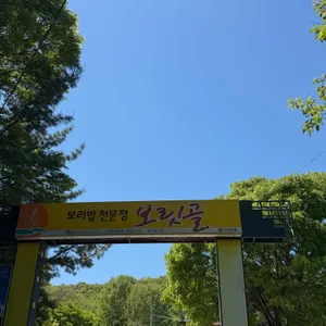 보릿골 리뷰 사진