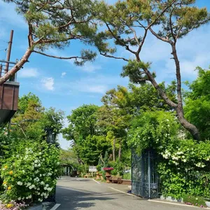 밀양189 리뷰 사진