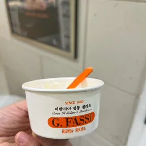 지파시 대표 사진