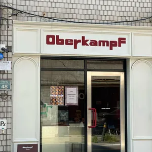 오베르캄프 대표 사진