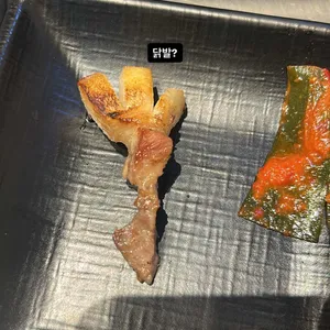 판교돈 사진