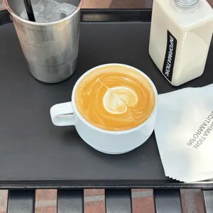 IFMT 대표 사진