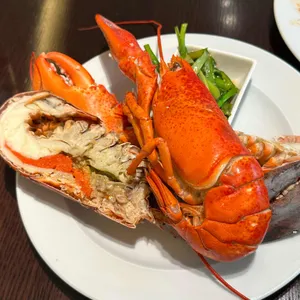 웨스틴 조선 서울 아리아 대표 사진