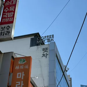 맷차 대표 사진