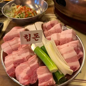힙돈 사진