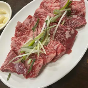 부일갈매기 사진