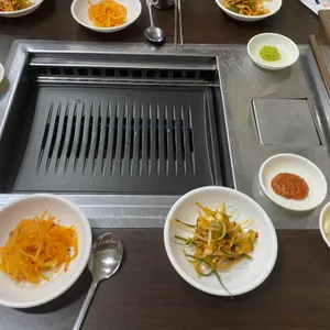 부일갈매기 사진