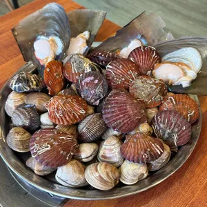 조은조개구이 사진