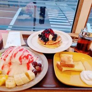 캔모아 사진
