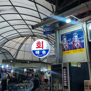 해송 대표 사진