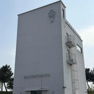 순두부젤라또 대표 사진