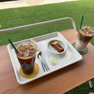 터틀리 사진 1