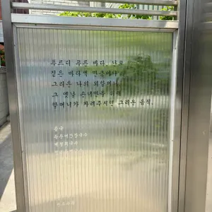 난포 리뷰 사진