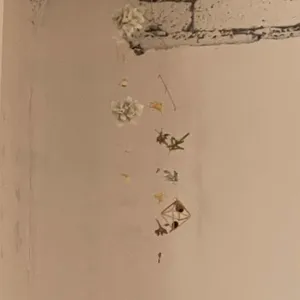 카페 기면민 대표 사진