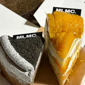 MLMC 대표 사진