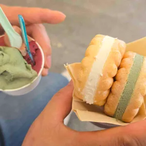 라또래요 사진