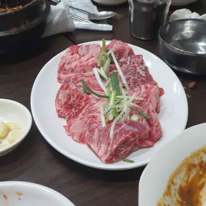 부일갈매기 사진