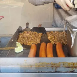 필리도그 대표 사진