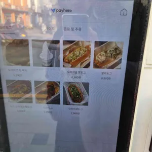 필리도그 리뷰 사진