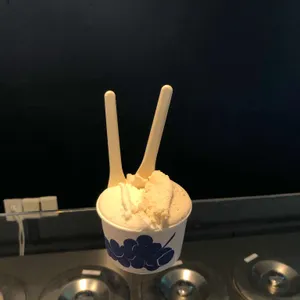 코타티 사진 1