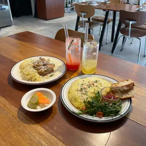 마토스 사진 1