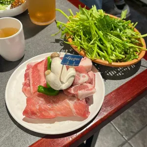 부산갈매기 대표 사진