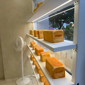 베이루아 사진