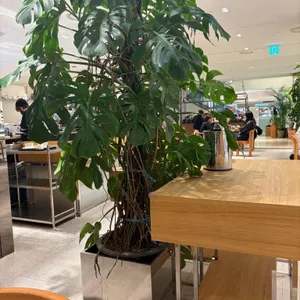 보난자커피 대표 사진