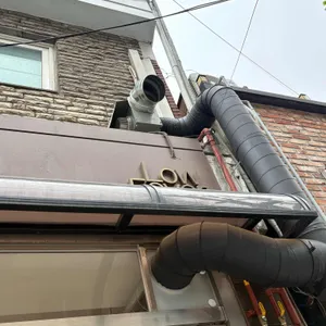 로우피버 사진 2