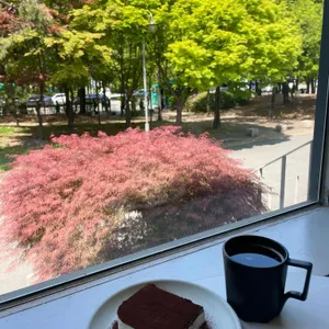에스오이 사진