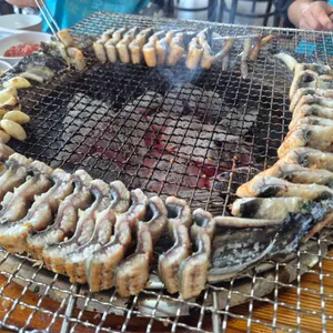 한강민물장어 사진 2