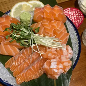연꽃치 사진