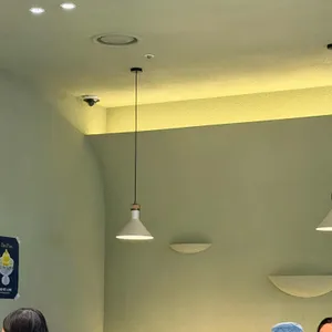 플랜튜드 대표 사진