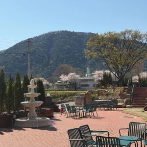 콘티80 리뷰 사진