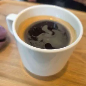 알레그리아 사진