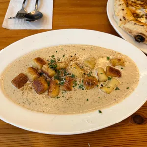 퀴비 사진