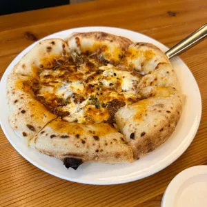 퀴비 사진