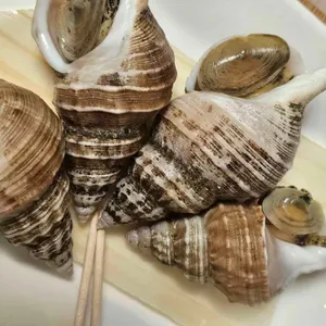 바닷집 대표 사진