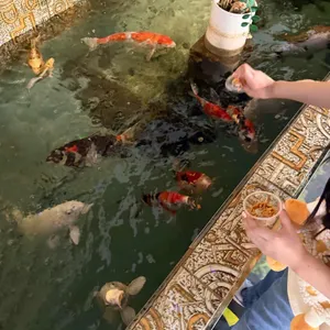 폴레폴레 대표 사진