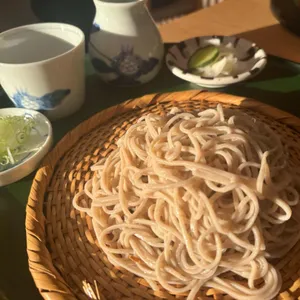 하루 사진
