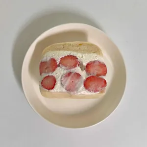 로하다 사진