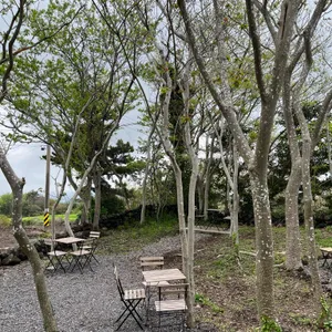 나와산 리뷰 사진
