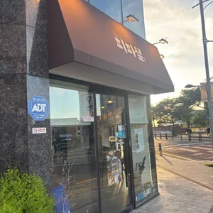피파샐 사진