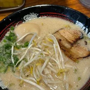 코이라멘 사진 1
