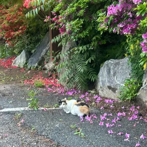 장군수산 대표 사진