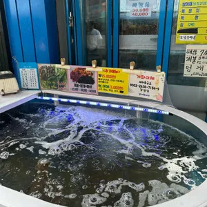 강릉 중앙시장 횟집 파란간판집 리뷰 사진