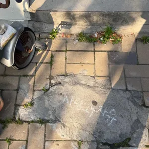 사랑과 자유 대표 사진