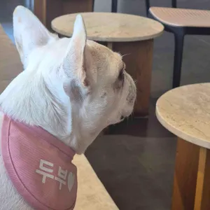 애코랜드 사진 1