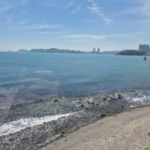 애코랜드 대표 사진