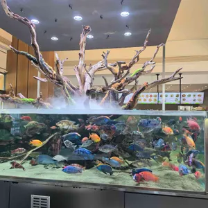 카페 더하루 리뷰 사진
